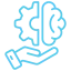 cognitive control
